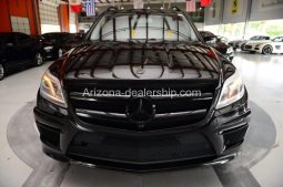 2013 Mercedes GL – Class GL450 full