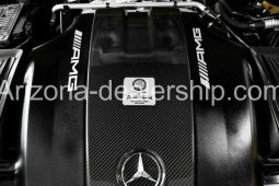 2020 Mercedes-Benz Other AMG GT R $180000 full