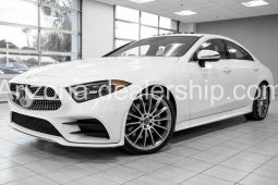 2019 Mercedes-Benz CLS-Class 450 full