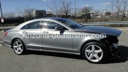 2013 Mercedes-Benz CLS-Class CLS 550 full