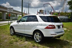 2014 Mercedes-Benz M-Class ML 350 full