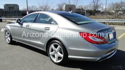 2013 Mercedes-Benz CLS-Class CLS 550 full