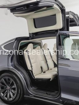 2019 Tesla Model X 100D full