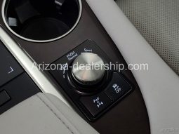 2020 Lexus RX 350 full