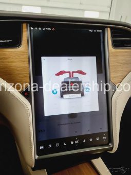 2019 Tesla Model X 100D full