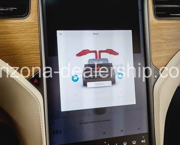 2019 Tesla Model X 100D full