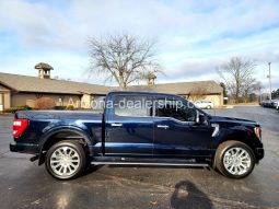 2021 Ford F-150 Platinum full