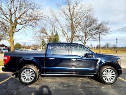 2021 Ford F-150 Platinum full