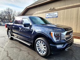 2021 Ford F-150 Platinum full