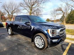 2021 Ford F-150 Platinum full