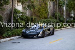 2019 McLaren 600LT Coupe 2D full