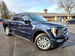 2021 Ford F-150 Platinum full