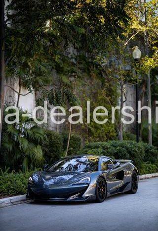 2019 McLaren 600LT Coupe 2D full