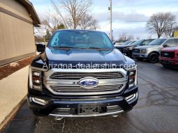 2021 Ford F-150 Platinum full