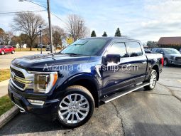 2021 Ford F-150 Platinum full