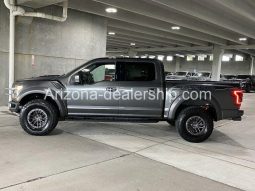 2019 Ford F-150 Raptor full