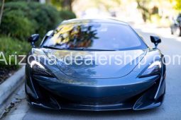 2019 McLaren 600LT Coupe 2D full