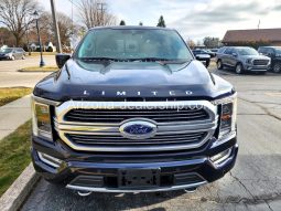 2021 Ford F-150 Platinum full