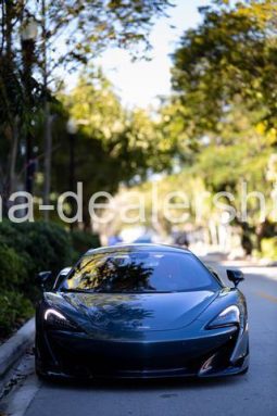 2019 McLaren 600LT Coupe 2D full