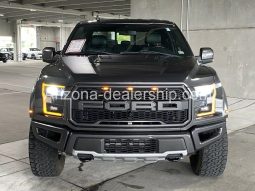 2019 Ford F-150 Raptor full