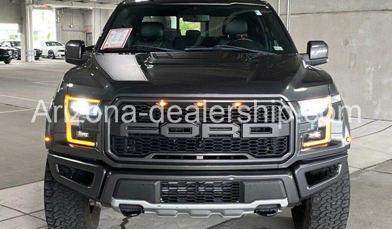 2019 Ford F-150 Raptor full