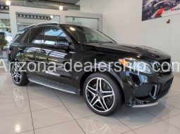 2017 Mercedes-Benz GLE AMG GLE43 full