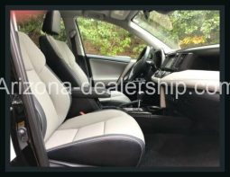 2018 Toyota RAV4 Limited 4×4 full