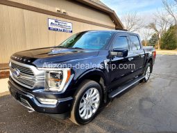 2021 Ford F-150 Platinum full