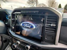 2021 Ford F-150 Platinum full