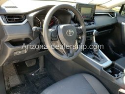 2019 Toyota RAV4 LE full