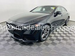 2019 Mercedes-Benz CLS CLS 450 full