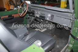 1973 Ford Bronco 351 V8 full