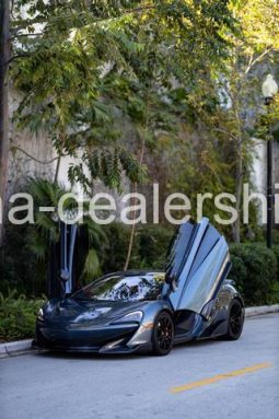 2019 McLaren 600LT Coupe 2D full