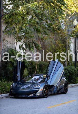 2019 McLaren 600LT Coupe 2D full