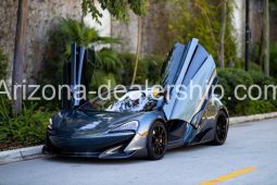 2019 McLaren 600LT Coupe 2D full