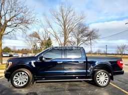 2021 Ford F-150 Platinum full