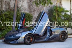 2019 McLaren 600LT Coupe 2D full