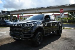 2018 Ford F-150 Raptor SuperCrew 4WD full