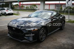 2019 Ford Mustang GT Premium full