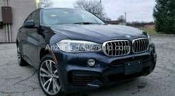 2016 BMW X6 xDrive50i full