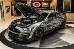 2021 Ford Mustang Shelby GT500 full