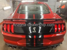 2021 Ford Mustang GT 500 full