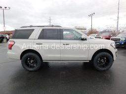 2021 Ford Expedition PLATINUM full