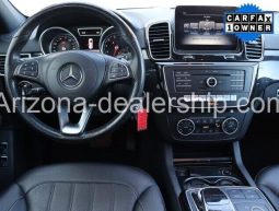 2019 Mercedes-Benz GLS GLS 450 full