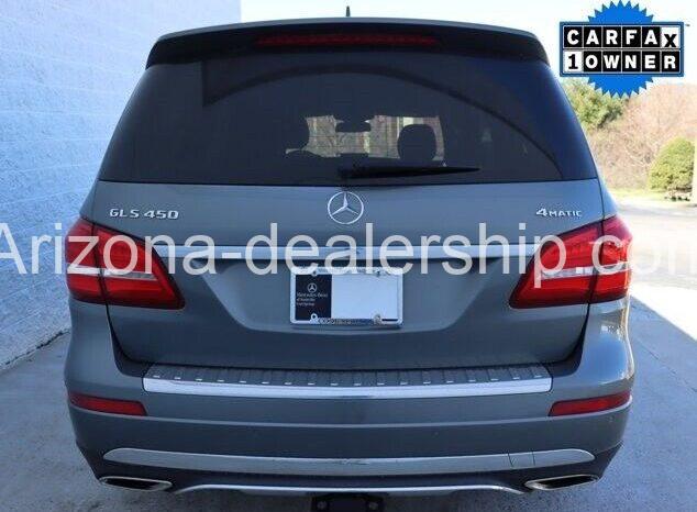 2019 Mercedes-Benz GLS GLS 450 full