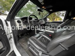 2011 Ford F-150 full