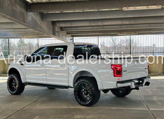 2019 Ford F-150 Raptor full