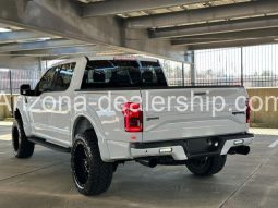 2019 Ford F-150 Raptor full