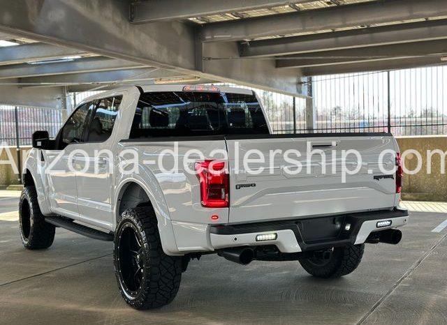 2019 Ford F-150 Raptor full