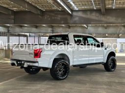 2019 Ford F-150 Raptor full